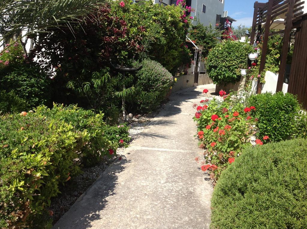 Paphos Townhouse Exterior foto